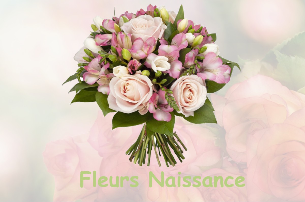 fleurs naissance LAMANON