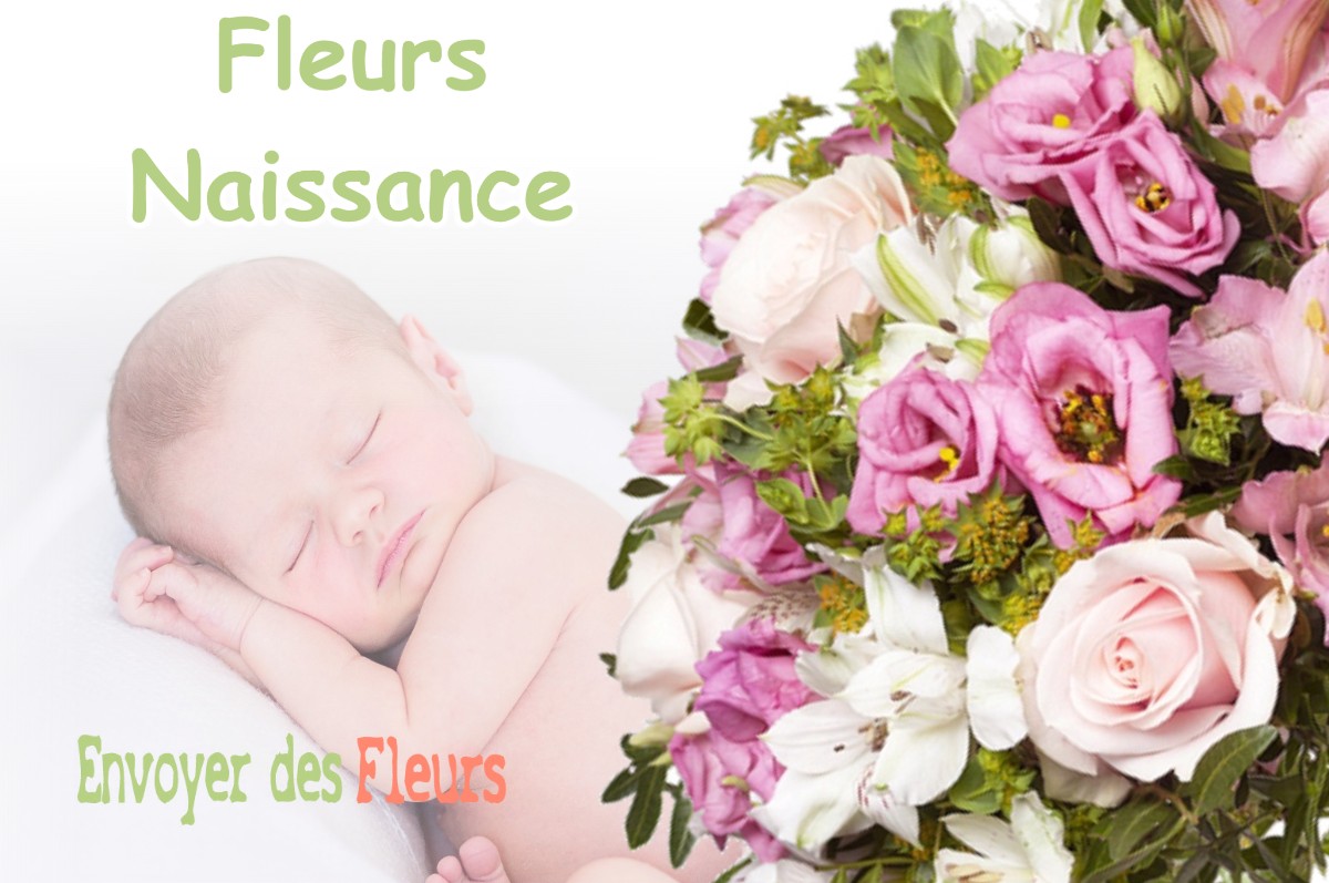 lIVRAISON FLEURS NAISSANCE à LAMANON